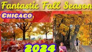 FALL FOLIAGE 2024| CHICAGO |BEAUTIFUL FALL COLORS AT FULLERSBURG WOODS & LILACIA PARK| TRIP|USAvlog