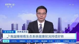 [正点财经]世界海洋日 我国珊瑚礁生态系统健康状况持续好转|CCTV财经