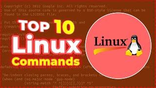 10 Linux Commands Every Developer Must Know