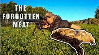 HUNT/PREPARE/COOK WILD RABBIT. Caution HEADSHOTS. How to zero your scope. CZ THUMBHOLE 22 MOA EP6S2