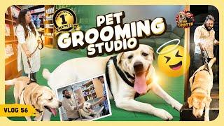 Chottu Mind Voice: இதுதான் அந்த Beauty parlour 'ah | Fur ever Pets Grooming Studio | Vlog 56