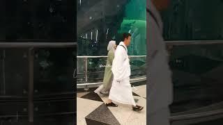 Transportasi yg bisa digunakan dr jeddah menuju  mesjidil Haram #umrahmandiri #umrahtanpatravel