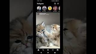 Instagram tips and tricks #shorts #ytshorts