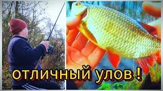 Отличный улов на поплавок 27 ноября! Не ожидал такого клёва!   #fishing