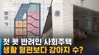 첫 펫 반려인 사회주택, 생활 형편보다 강아지 수? / SBS