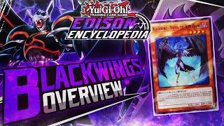 How to Play Blackwings | Edison Encyclopedia