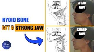 The Secret To An Attractive Jaw - Hyoid Bone (blackpill)