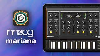 Intro to Moog's NEW Mariana Bass Synthesizer App!