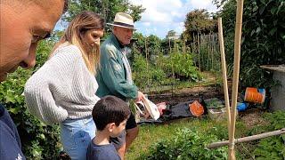 Spargo's Kitchen Vegetable Allotment Summer Update- Home Grown Herbs and Veg - The FishLocker