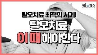 탈모치료 이때 시작해야 한다! 탈모치료 최적의 시기는 언제? - 뉴헤어 I 모발이식 I 탈모QnA I