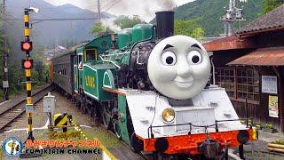 【電車】踏切動画  62【ふみきり 鉄道】大井川鐵道 大井川本線 DAY OUT WITH THOMAS in Japan