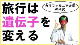 旅行は遺伝子を変える〜バケーション効果〜【カリフォルニア大学の研究】