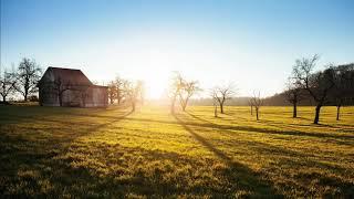 Mascagni - Intermezzo from Cavalleria Rusticana ( 1 hour loop )