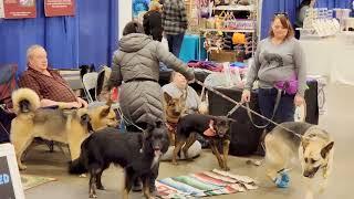 Chantilly Super Pet Expo 2023