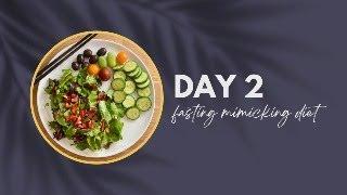 DAY 2  fasting mimicking diet DIY