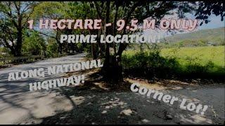 (PROPERTY#75) 1 HECTARE - ALONG NATIONAL HIGHWAY AND A CORNER LOT ! TITLED PROPERTY !