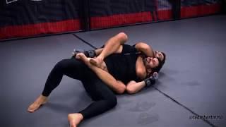 Team Bert MMA - Striking, Takedown, Backtake and Choke Sequence