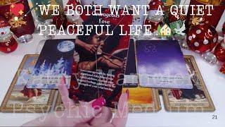 🪄WE BOTH WANT A QUIET PEACEFUL LIFE ️FILLED W/LOVE, RESPECT & LOYALTY🪄COLLECTIVE LOVE TAROT 