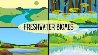 Types of Freshwater Ecosystems-Lakes-Ponds-River-Streams-Wetlands