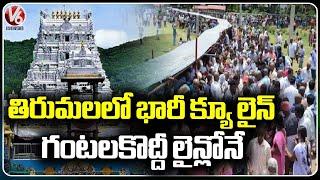 Huge Devotees Rush At Tirumala, Waiting Hours In Queue Line  |  V6 News