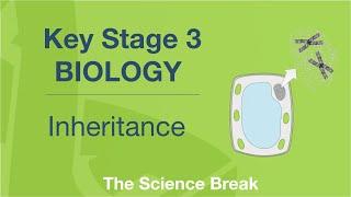 Key Stage 3 Science (Biology) - Inheritance