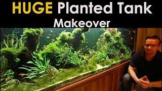 HUGE Planted Tank Makeover - 1200 Litre Nature Aquarium!!