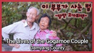 [ENG SUB] The Lives of the Gogamoe Couple: Damyang County [남도지오그래피] 이부부가 사는법-담양 고가뫼댁(16.09.05)