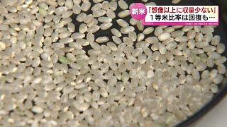 【新米】今年のコメの出来　1等米比率は回復も…生産者「収量少ない」《新潟》