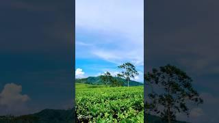 Ram saili #nepal #highlights #youtube #nepali #motivation #love