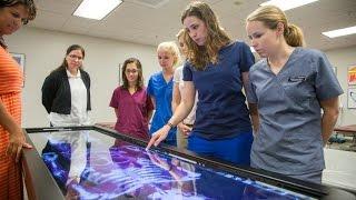 Physician Assistant Studies