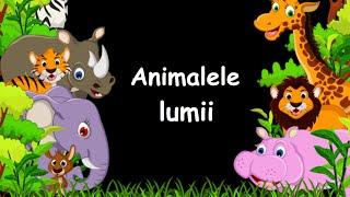 Animalele lumii Animalele salbatice