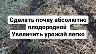 Как сделать почву абсолютно плодородной урожайной здоровой ЛЕГКО