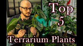 Top 5 Terrarium Plants That Will Change The Way You Keep Reptiles | Featuring @MikeTytula