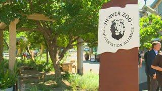 Denver Zoo rebrands, changing name to Denver Zoo Conservation Alliance