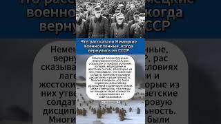 Что Рассказали Немцы Когда Вернулись Из Плена СССР ? #интересныефакты #вов #армия #история