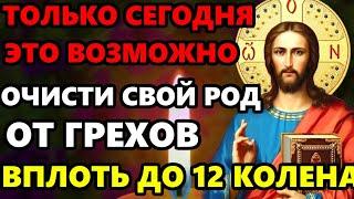 ОЧИСТИ СВОЙ РОД ОТ ГРЕХОВ ВПЛОТЬ ДО 12 КОЛЕНА! Сильная Молитва Господу. Православие