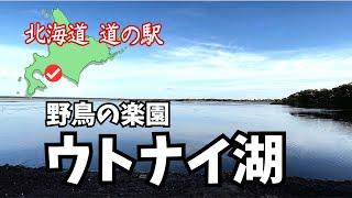 【愛犬と 2023年 北海道 道の駅スタンプラリー 15】白鳥が飛来する道の駅　〜空と湖面の美しさに感動‼︎ からのラーメン〜