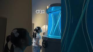 #쌍곡선 #과학탐구관 #과천과학관
