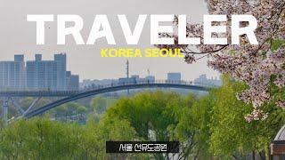 Travel Korea _ Walk / Seoul seonyudo park cherry blossom viewing