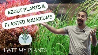 Plants and Planted Aquariums - Brandon Campo at Charlotte Aquarium Club