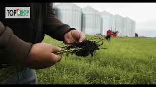 Tyson Becker | Humic | Customer Testimonial | TopKrop Fertilizers