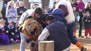 Festa de l'Ós petit de Sant Llorenç de Cerdans 2018