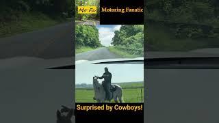 Cowboys & Deer Found on Scenic Back Road Drives | MoFa |  #automobile #autoadventures #adventure