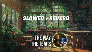 The Way of The Tears(Slowed + Reverb) 1 Hour Relaxing Nasheed l Mr. Gaanwala | Nasheed For Sleep