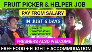 New zealand  Fruit picking & Helper Jobs | Pay From Salary | Get 5 Year New Zealand visa 2024
