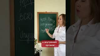 3 шага: телесноориентированная психотерапия, работа с ЖКТ, двигательная терапия