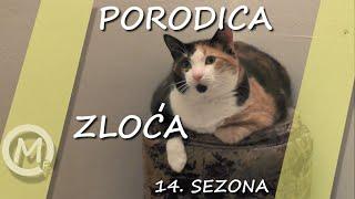 Porodica Zloća - Epizoda 619 (Season 14)