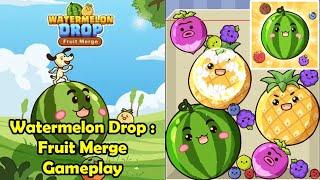 Watermelon Drop : Fruit Merge High Score Gameplay