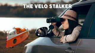 Interesting Velomobile Encounters: the Velo Stalker