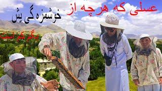 عسل خوشمزه جاغوری و منطقه زیبای جاغوری واقعا دیدنیست️#afghan #jaghori #2024 #nature #village #honey